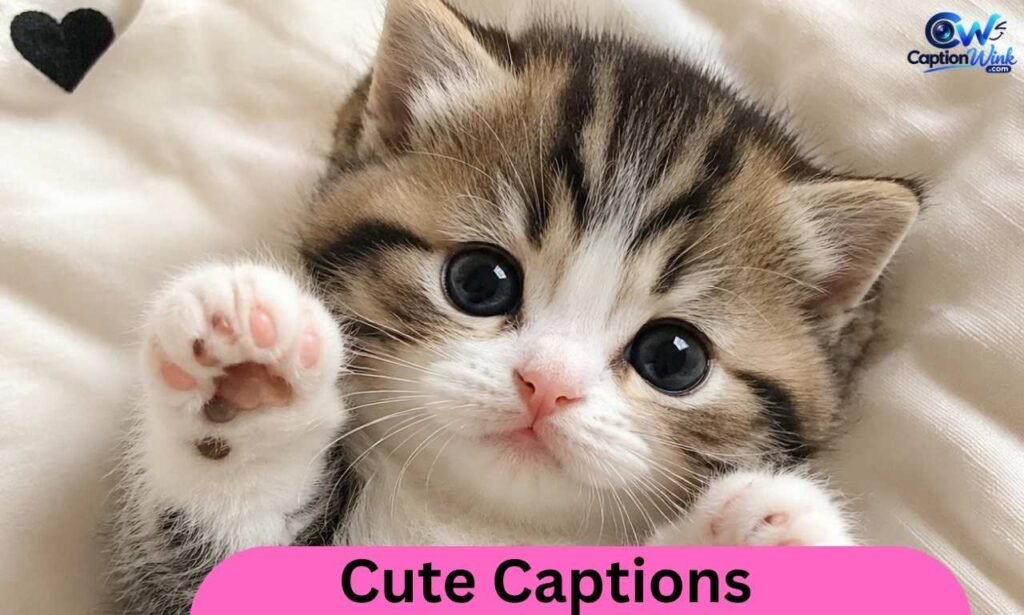 Cute Captions