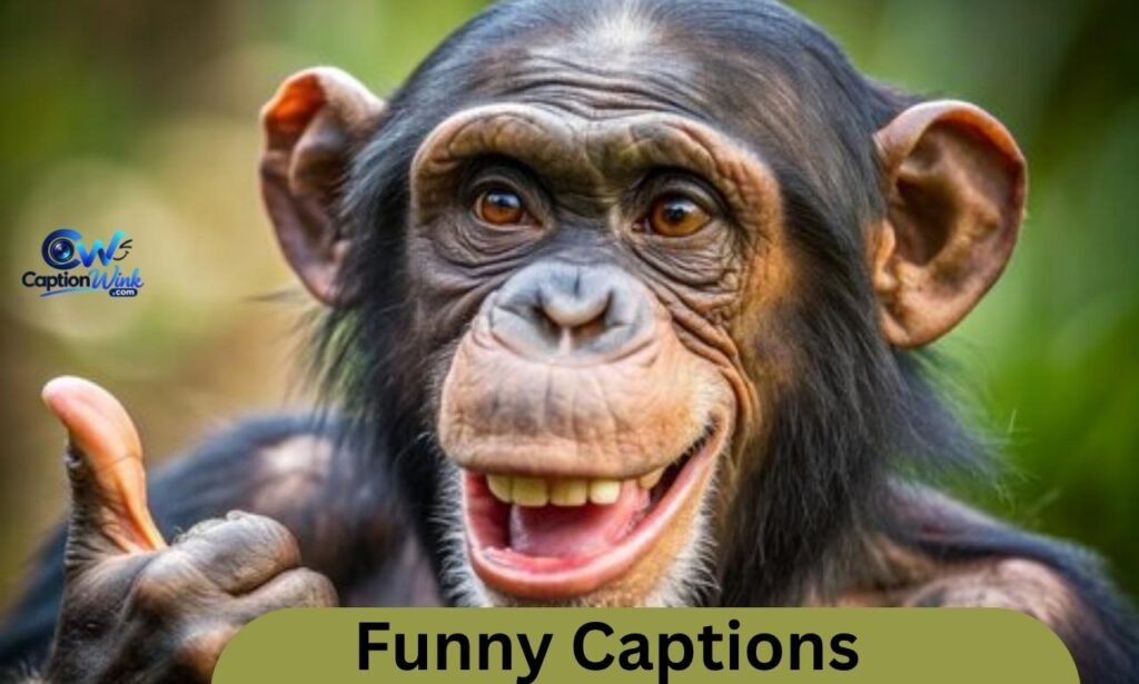 Funny Captions